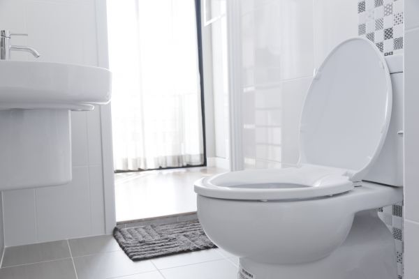Toilet Seat Installation in Winter Park