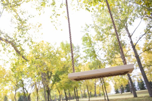 Swing Installation in Winter Park