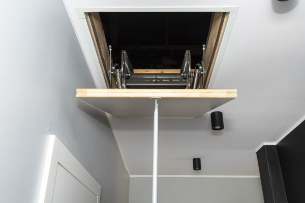 Attic Door Repair in Winter Park