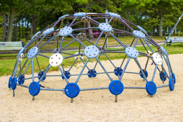 Jungle Gym Assembly in Winter Park