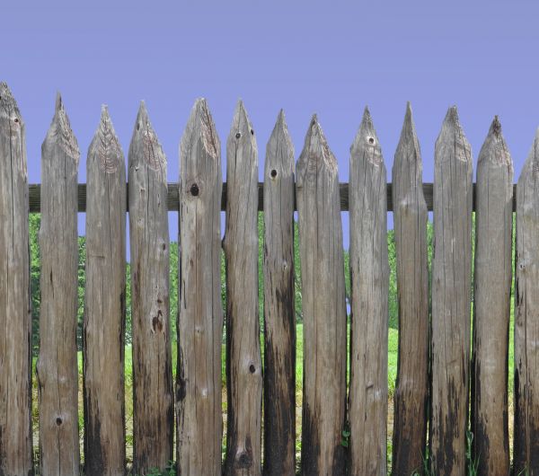 Cedar Post Repair in Winter Park