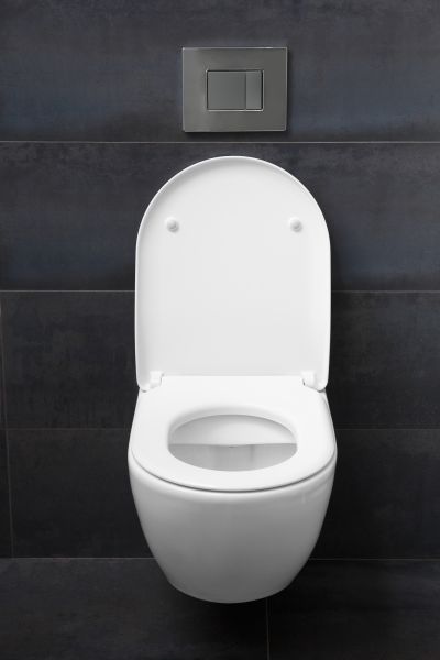 Toilet Lid Installation in Winter Park