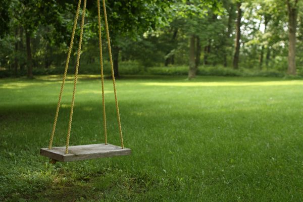 Rope Swing Installation in Winter Park