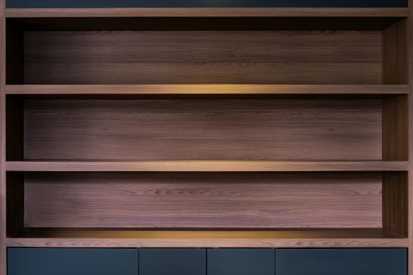 Bookcase Mounting in Winter Park