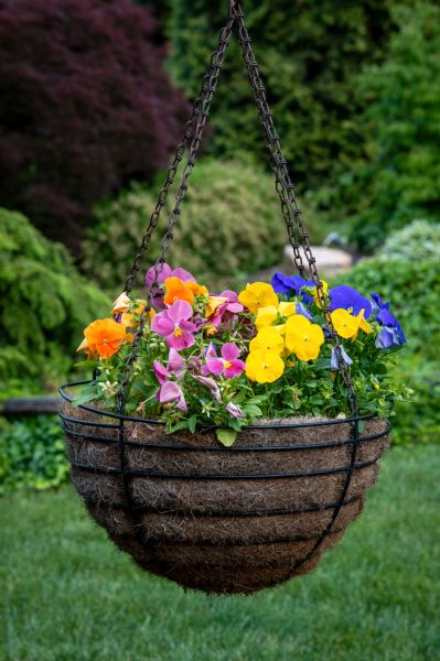 Hanging Basket Installation in Winter Park