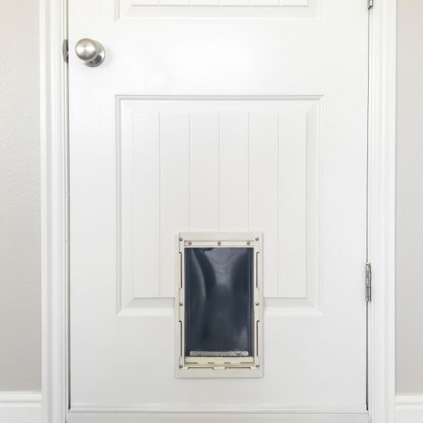 Pet Door Repair in Winter Park