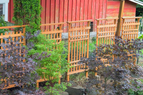 Wood Trellis Mounting in Winter Park