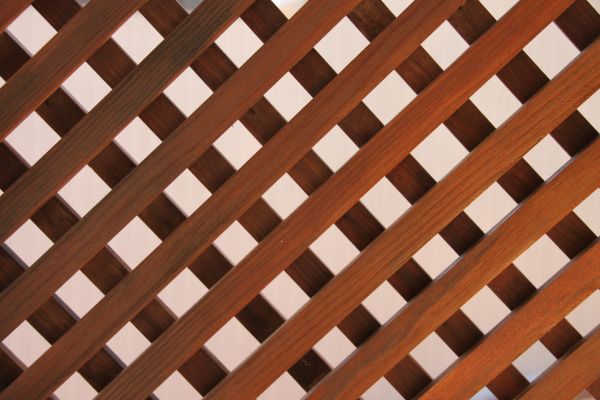 Wood Lattice Repair in Winter Park