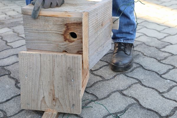 Birdhouse Mounting in Winter Park