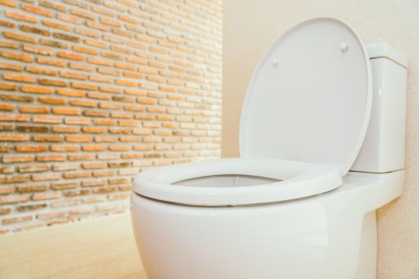 Toilet Seat Repair in Winter Park