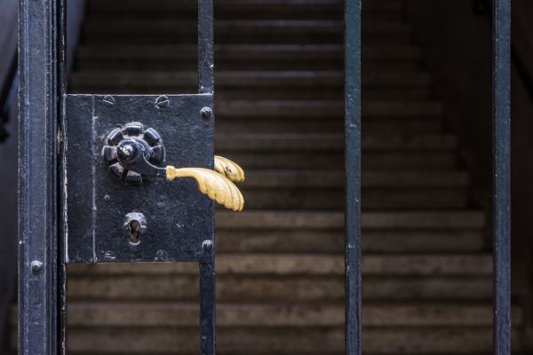 Gate Handle Replacement in Winter Park