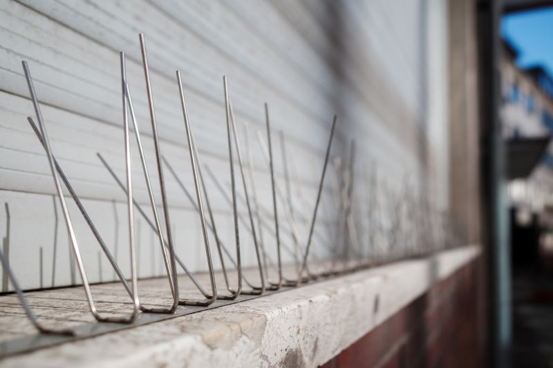 Bird Feeder Installation