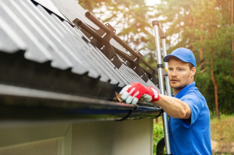 Gutter and Roof Maintenance